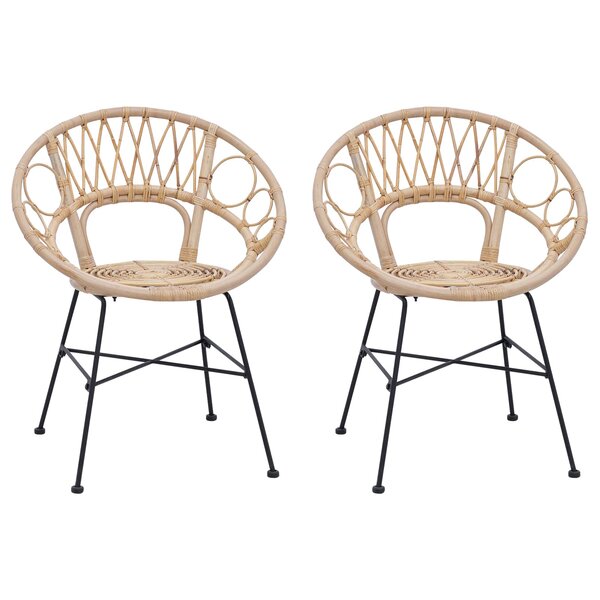 vidaXL Chaise de salle à manger 2 pc Rotin et métal Naturel