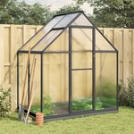 vidaXL Serre avec cadre de base anthracite 169x114x202 cm aluminium