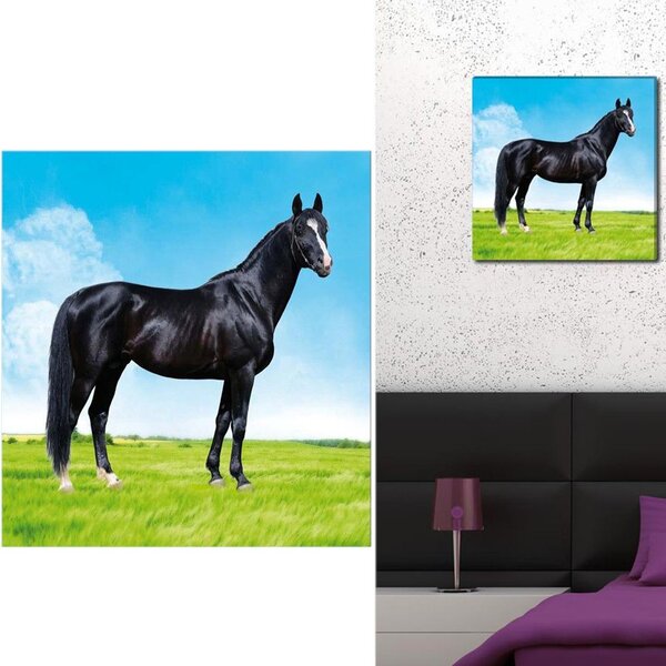 Cadre toile cheval
