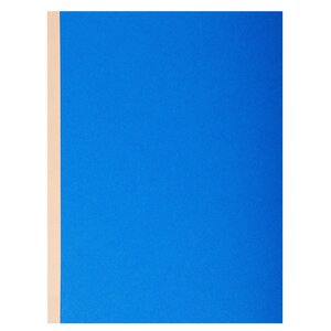 Paquet De 10 Chemises À Soufflet Dos Toilé Forever® 320g/m2 - 24x32cm - Couleurs Assorties - X 25 - Exacompta