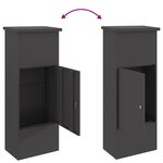 vidaXL Boîte de dépôt de colis Noir 44.5 x 29 x 110.5 cm Acier