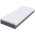 vidaXL Matelas Blanc et Gris 70 x 200 cm Ressort ensaché