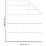 vidaXL Duvet d'hiver avec oreiller 3 Pièces Blanc Plume de canard