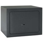 vidaXL Coffre-fort Gris foncé RAL7016 17 x 23 x 17 cm Acier