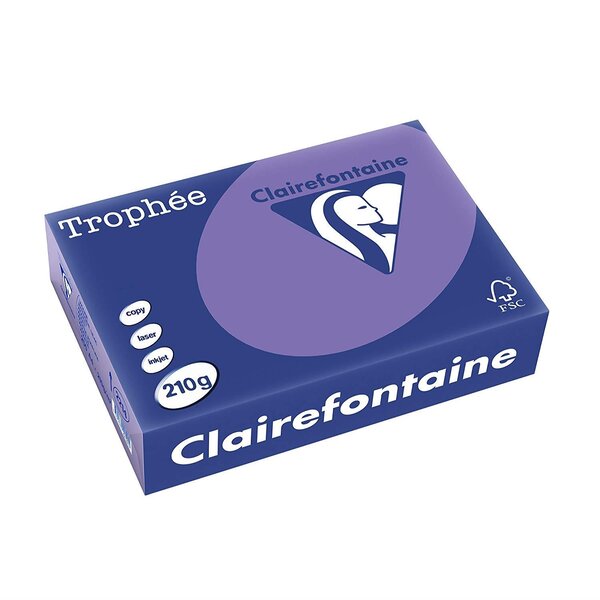 Ramette 250 Feuilles Papier 210g A4 210x297 mm Certifié FSC Violine CLAIREFONTAINE