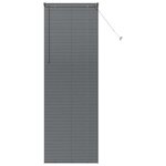 vidaXL Store de Fenêtre avec des rideaux Manuel Gris foncé Aluminium