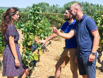 SMARTBOX - Coffret Cadeau Balade œnologique sur 3 communes classées AOC Bandol et dégustation de vins -  Sport & Aventure