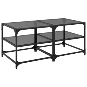 vidaXL Tables basses avec dessus en verre noir 2 Pièces 50x50x45 cm acier