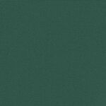 vidaXL Auvent latéral rétractable vert foncé 160x1200 cm