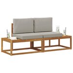 vidaXL Canapé d'extérieur en bout 2 Pièce Gris Naturel et Clair