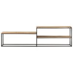 vidaXL Meuble TV 180x30x50 cm Bois de manguier brut