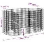 vidaXL Lit surélevé à gabion Fer galvanisé 200x100x100 cm