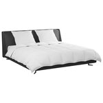 vidaXL Ensemble de Duvet avec oreiller 3 pc Blanc Plume de canard