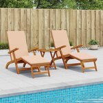 vidaXL Chaise longue inclinable et pliable 2 Pièces 55 x 146 x 91 cm