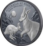 Pièce de monnaie en Argent 1 Dollar g 31.1 (1 oz) Millésime 2024 Australia at Night ROCK WALLABY