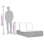 vidaXL Chaise longue double avec coussins gris résine tressée