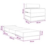 vidaXL Canapé-lit pliable Noir 200 x 70 x 15 cm Velours