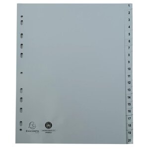 Intercalaires Imprimés Numériques Pp Gris Recyclé 20 Positions - A4 - Gris - X 20 - Exacompta
