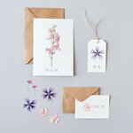 Fleurs séchées et pressées - violet et rose