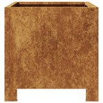 vidaXL Jardinières 2 Pièces 30x30x30 cm acier résistant aux intempéries