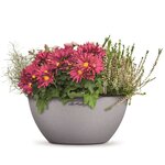 LECHUZA Jardinière CUBETO Stone 30 ALL-IN-ONE gris pierre 13830