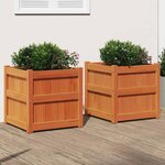 vidaXL Jardinières 2 Pièces cire marron bois de pin massif