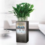 LECHUZA Jardinière CANTO Stone 30 High ALL-IN-ONE Noir graphite