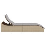 VidaXL Chaise longue pliante coussin et rangement beige résine tressée