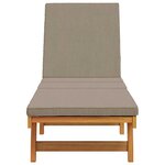 vidaXL Transat 1-personne Marron 63 x 199 x 85cm Bois d'acacia massif