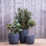 Capi pot à fleurs waste rib 35x34 cm gris