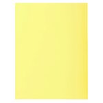 Paquet De 50 Chemises 2 Rabats Super 210 - 24x32cm - Canari - X 5 - Exacompta