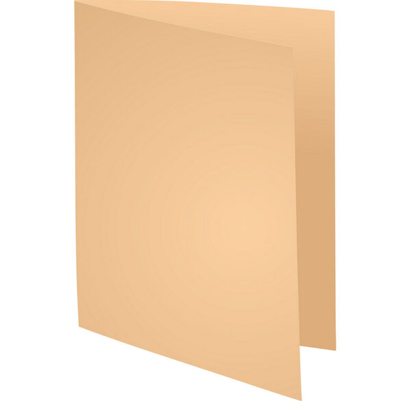 Paquet 100 chemises SUPER 160 - 24x32cm - Bulle EXACOMPTA