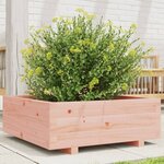 vidaXL Jardinière 70x70x26 5 cm bois massif douglas