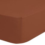 Good Morning Drap-housse 90x220 cm Terre cuite