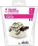 Moule en latex Tortue