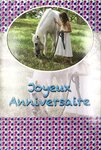 Carte Joyeux Anniversaire pour Fille Cheval Blanc Paillettes Enveloppe 12x17 5cm