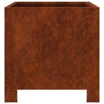 vidaXL Jardinières 2 Pièces 30x30x30 cm acier résistant aux intempéries