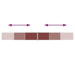 vidaXL Auvent latéral rétractable de patio 140x1200 cm Marron