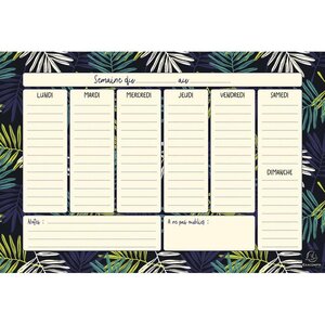 Hebdo planner Color Design Bloc 60 feuilles - H 18 x L26,5 cm EXACOMPTA
