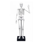 Squelette de 45 cm a construire