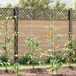 vidaXL Supports de plantes en spirale 20 Pièces Acier galvanisé 170 cm