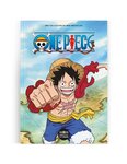 One Piece - 25ème anniversaire Kit découverte