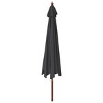 vidaXL Parasol de jardin avec mât en bois noir 400x273 cm