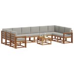 vidaXL Ensemble de canapés d'extérieur 11 Pièces Gris Naturel et Clair