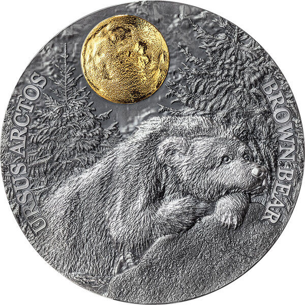 Monnaie en argent 5 dollars g 62.2 (2 oz) millésime 2023 wildlife in the moonlight brown bear