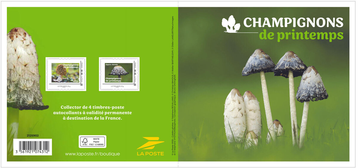 Collector 4 timbres - Champignons de printemps - Lettre Verte - La