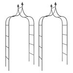 vidaXL Arches de jardin 2 Pièces Noir 120x38x260 cm Acier