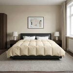 vidaXL Duvet d'hiver Matelassé Crème 220 x 240 cm Microfibre