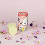 12 palets parfumés à faire fondre - câline & eté