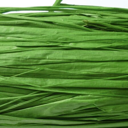 Raphia végétal vert printemps en bobine 50 g